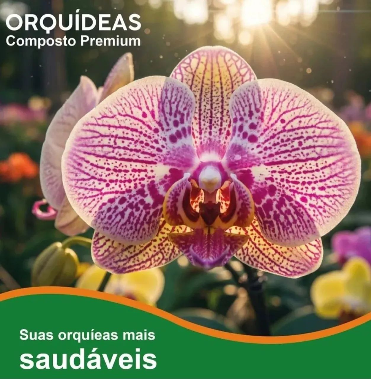 Composto Premium Orquídeas 6L - Foto 2
