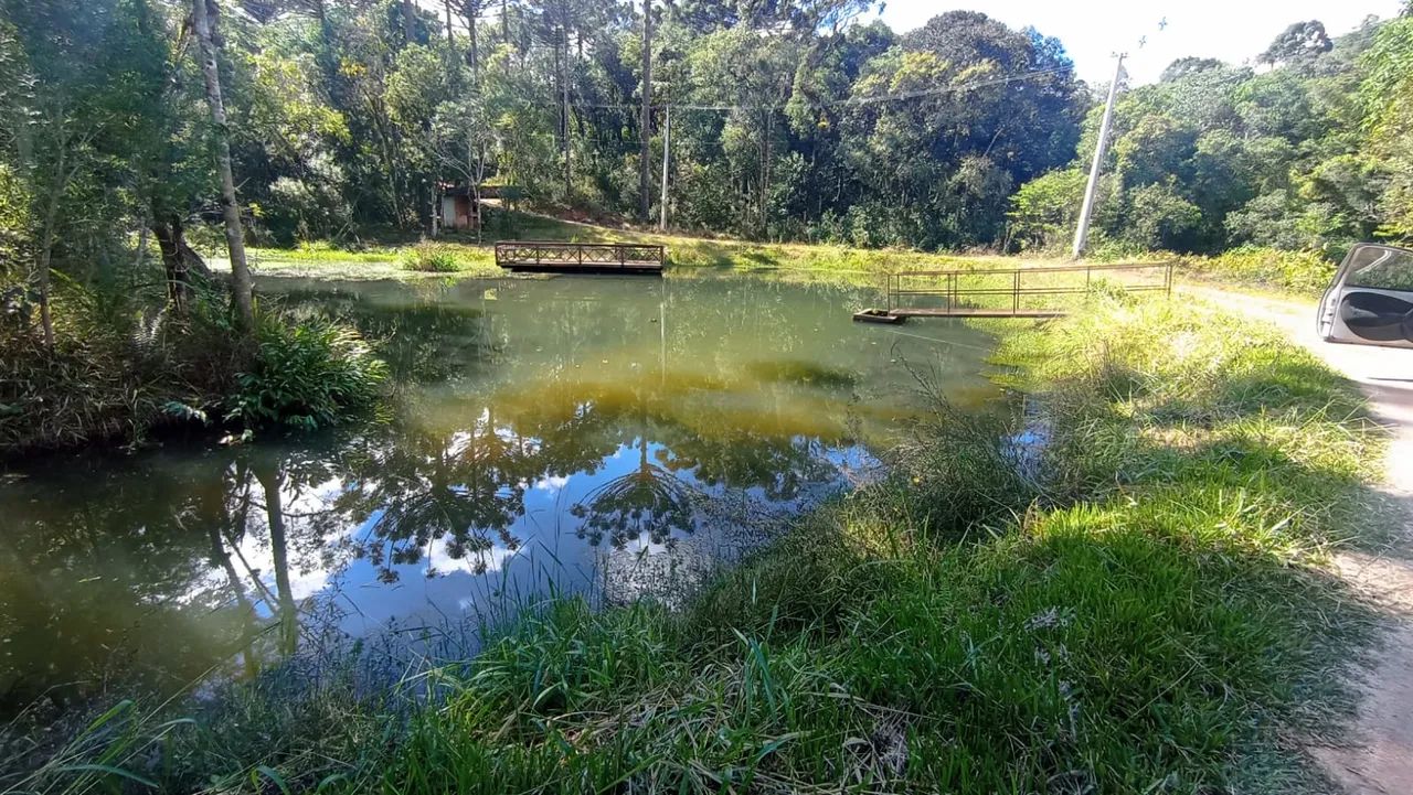 Terreno para chácara em Campo Largo - Foto 5