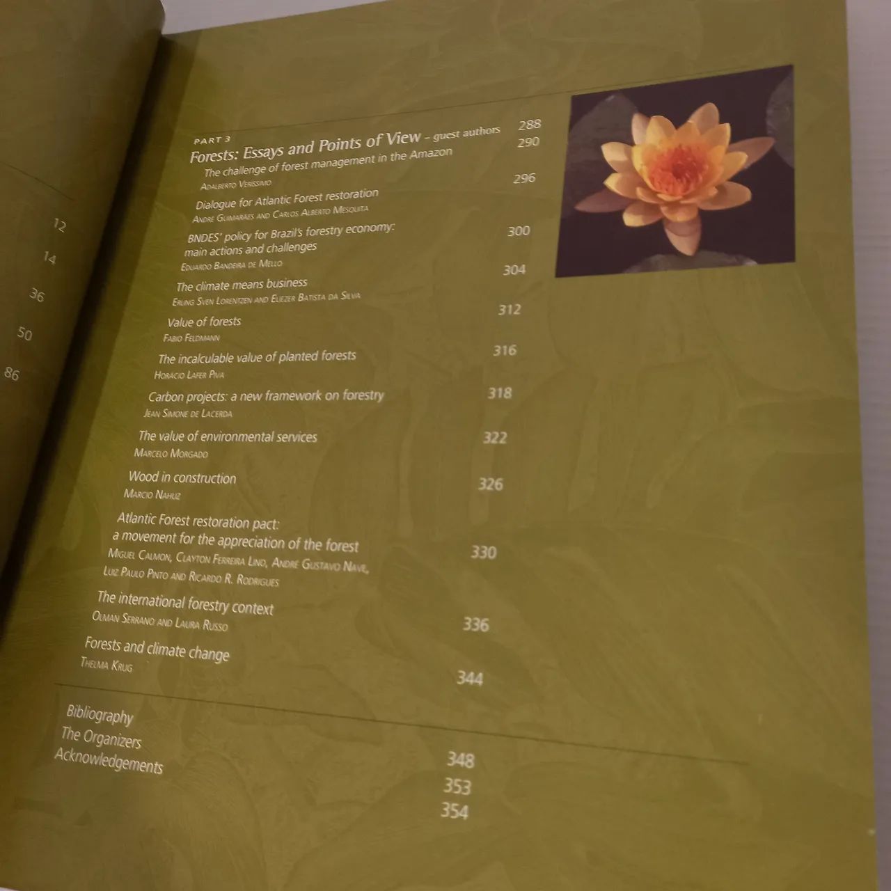 Why we Forests - Foto 6