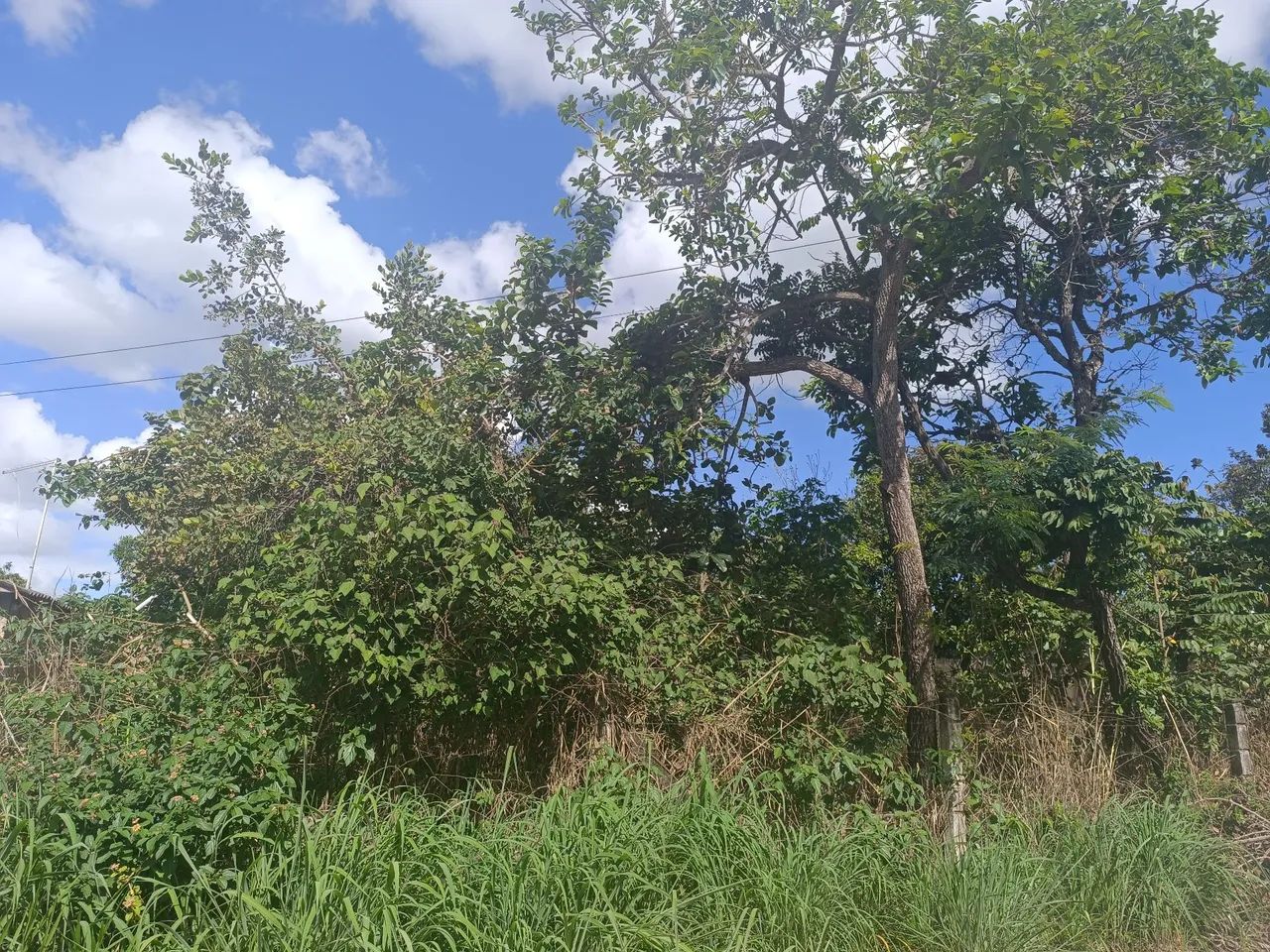Foto - Brasília - Setor Habitacional Tororó (Jardim Botânico)