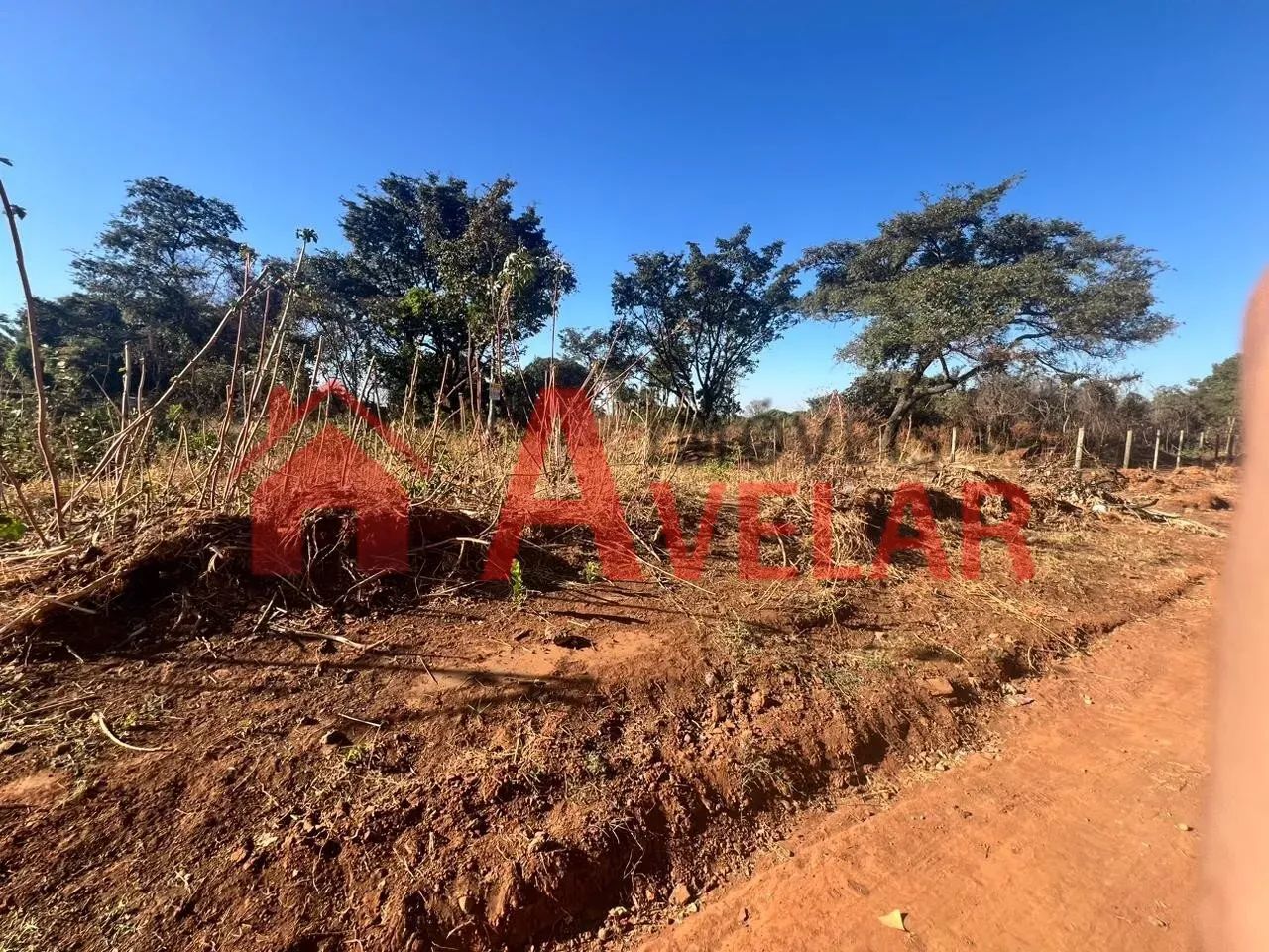 Terreno para venda, Morada Nova, Uberlândia - TE961 - Foto 2