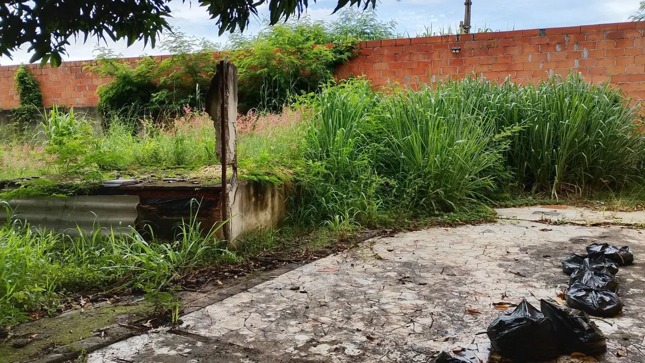 Manutenção de jardim, e serviço de roçagem. - Foto 3