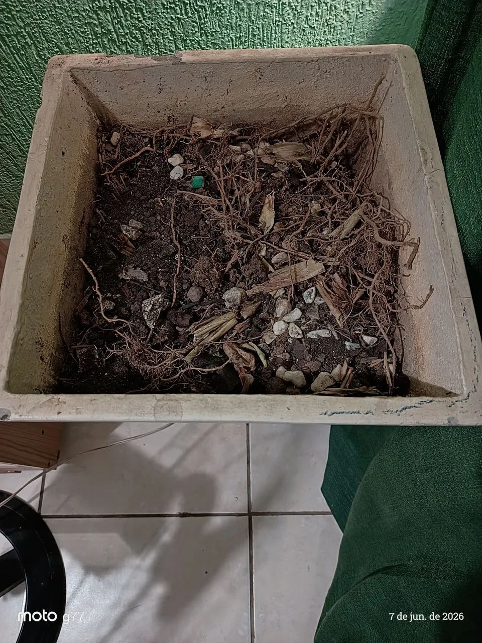Vasos  - Foto 5