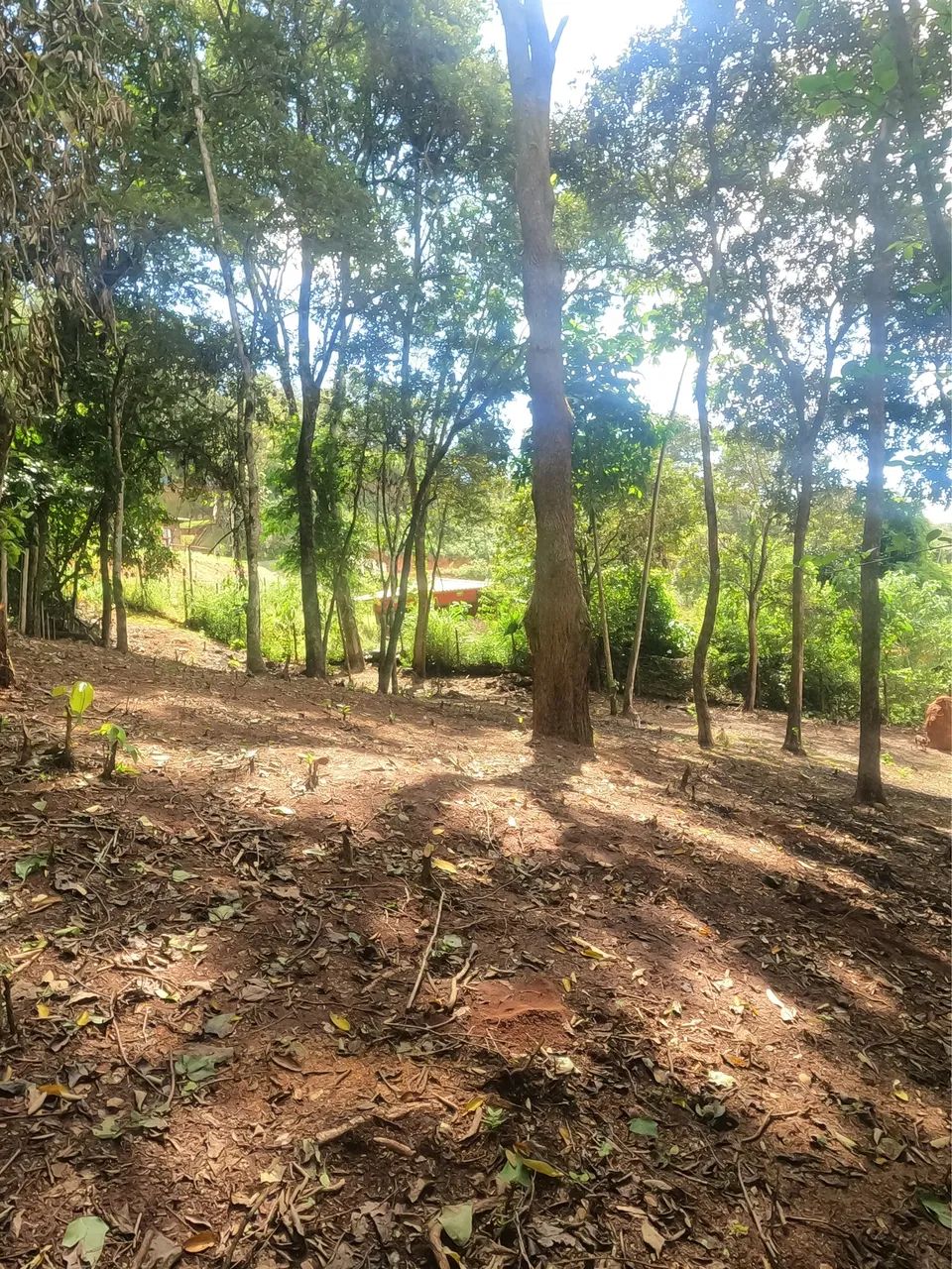 Terreno no Retiro do Lago, Acuruí, Itabirito  - Foto 3