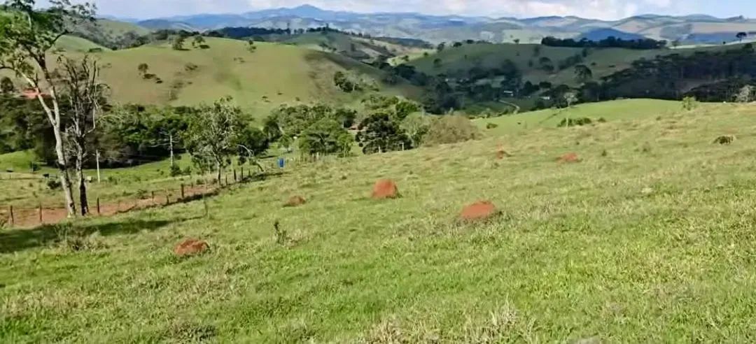 Vale das Araucárias- Camanducaia - Foto 5