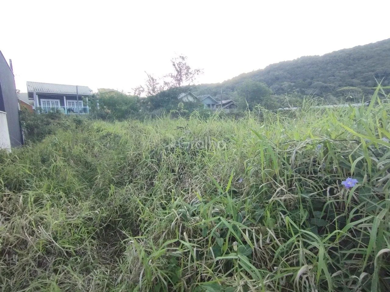 Terreno com 573 m² no bairro Lagoa da Conceição - Foto 2