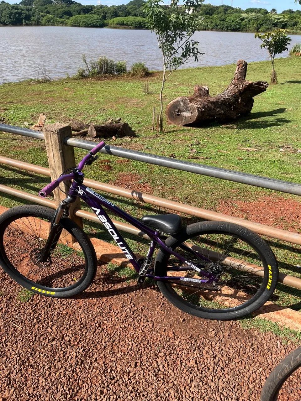 BIKE ARO 29
