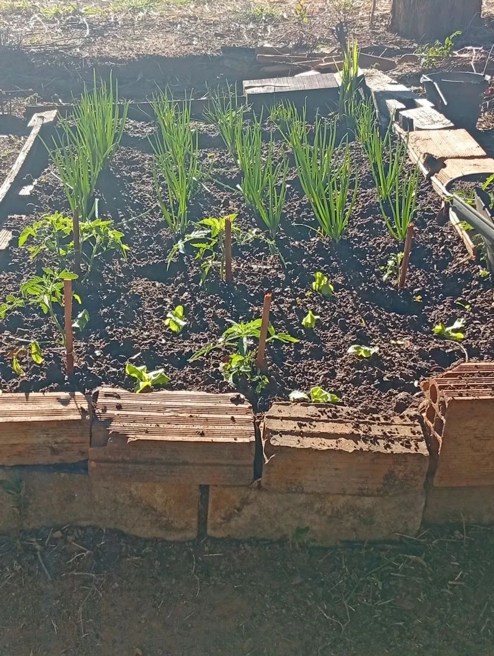 Limpeza de quintal e fazemos horta - Foto 3