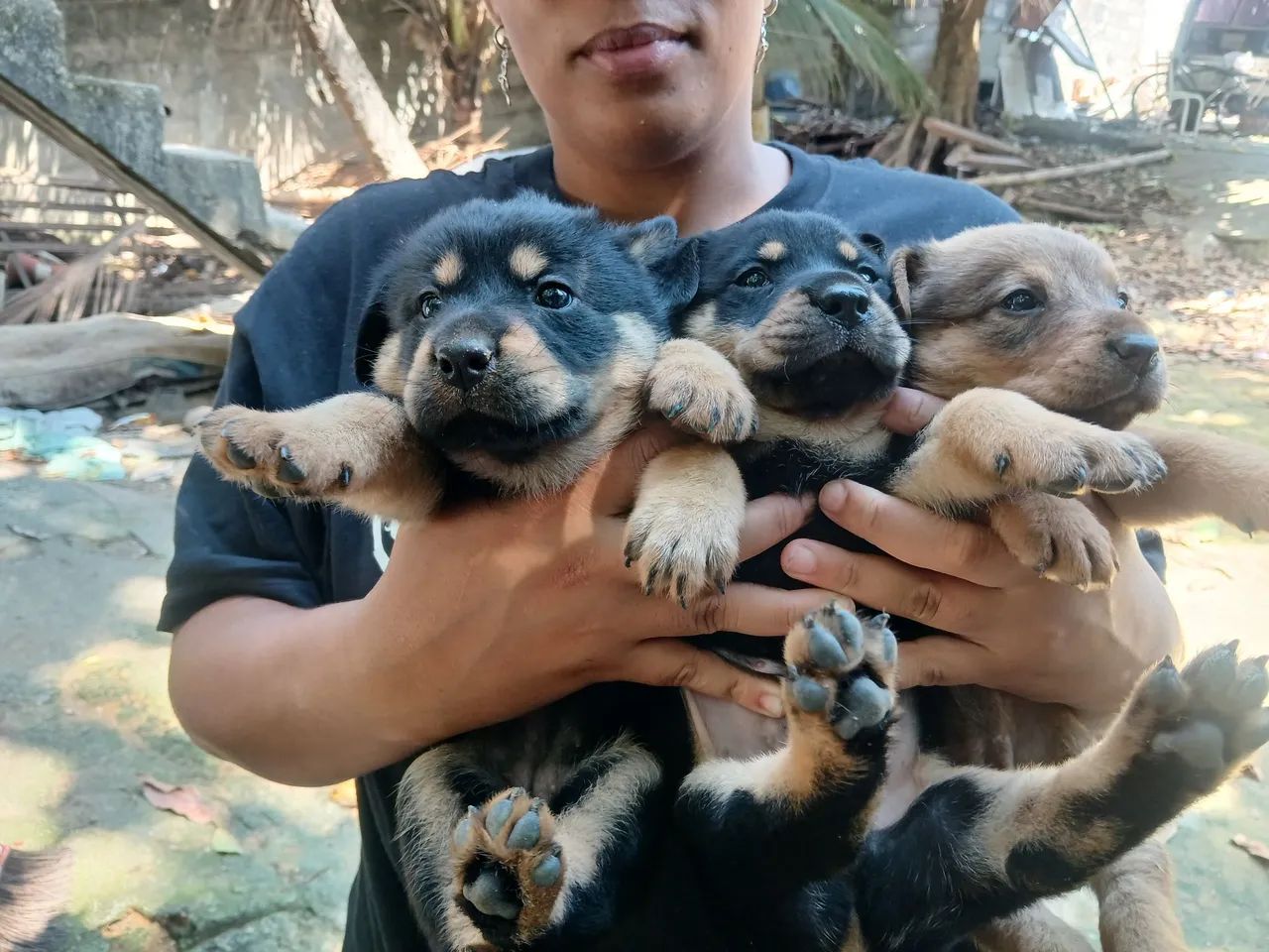 Doação  - Foto 3