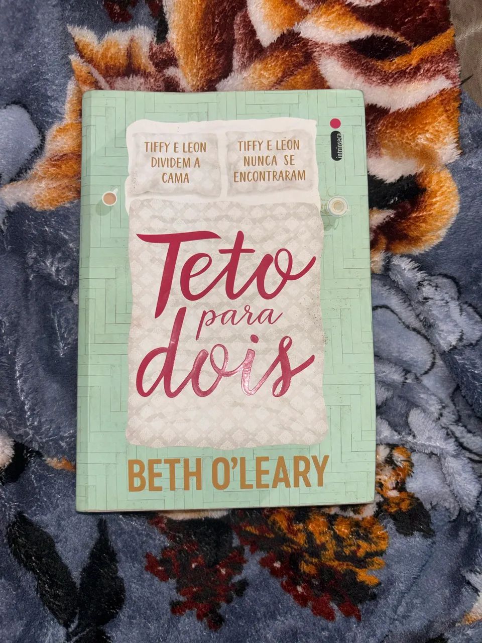 Teto para dois - Beth O?leary
