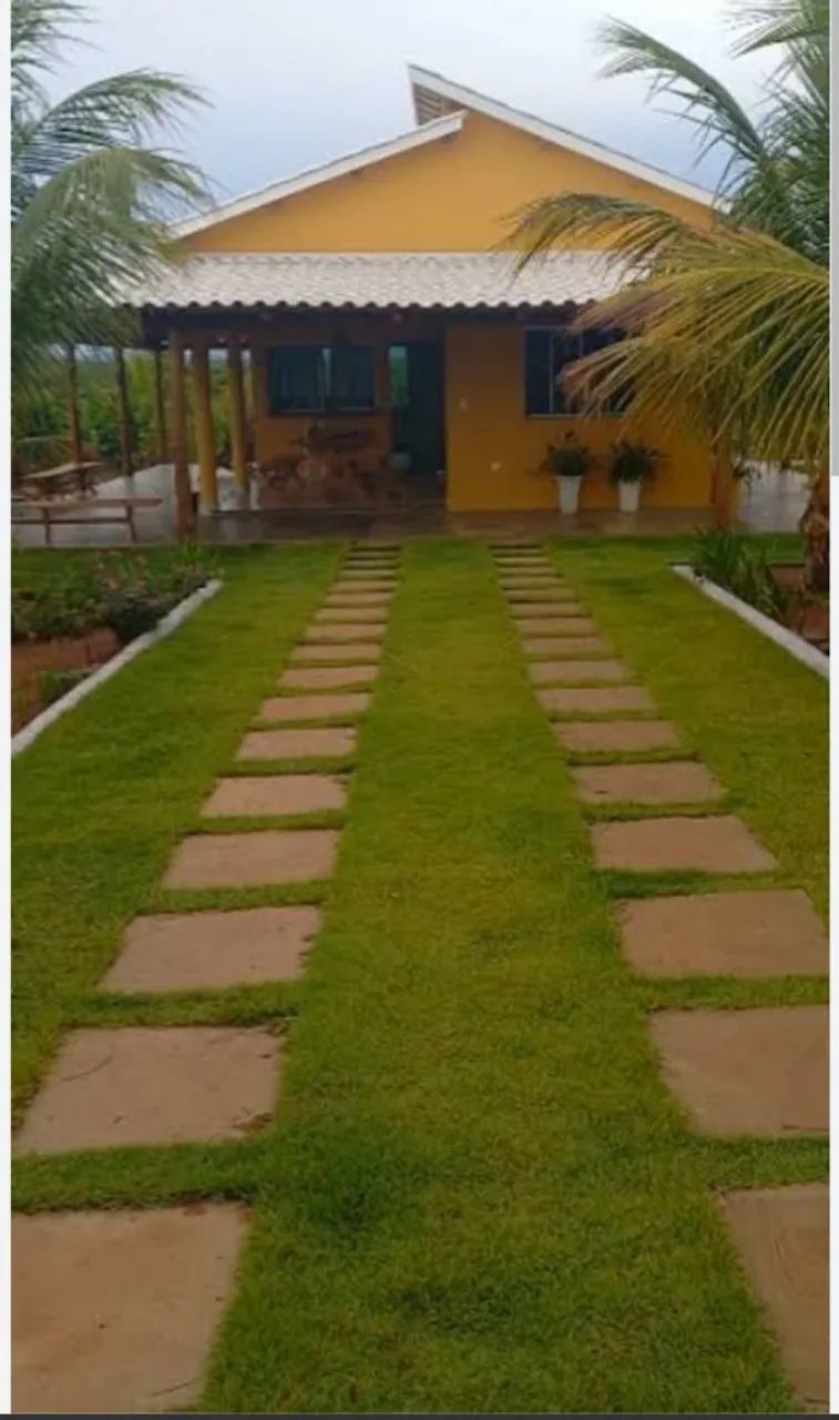Serviço de jardinagem e paisagismo  - Foto 3