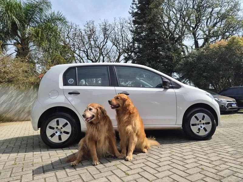 Volkswagen Up! up! take 1.0 Total Flex 12V 5p 2017