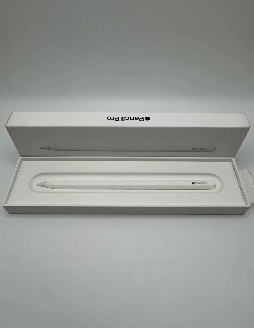 Apple Pencil Pro | Garantia Apple 2027 - Tablets e E-Readers