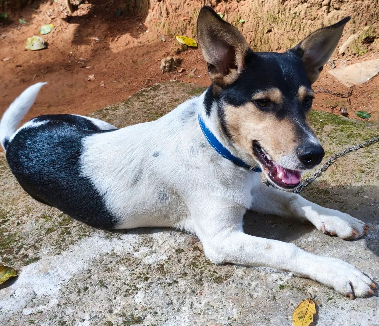 Doação - Foto 2
