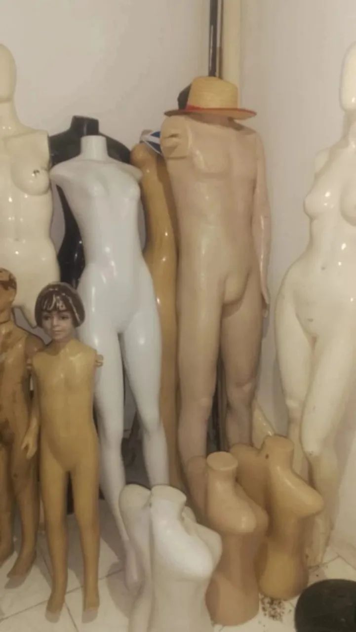 Vendo esses Mannequin