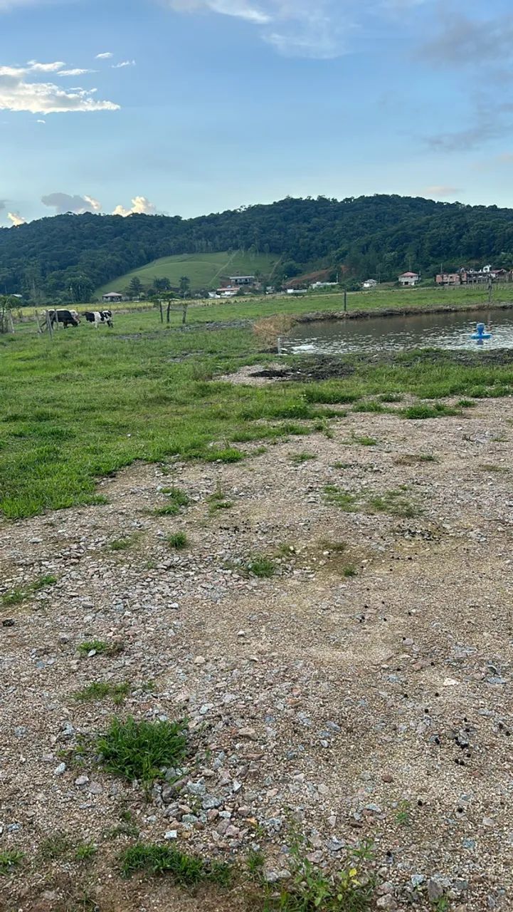 Venda de sítio  - Foto 2