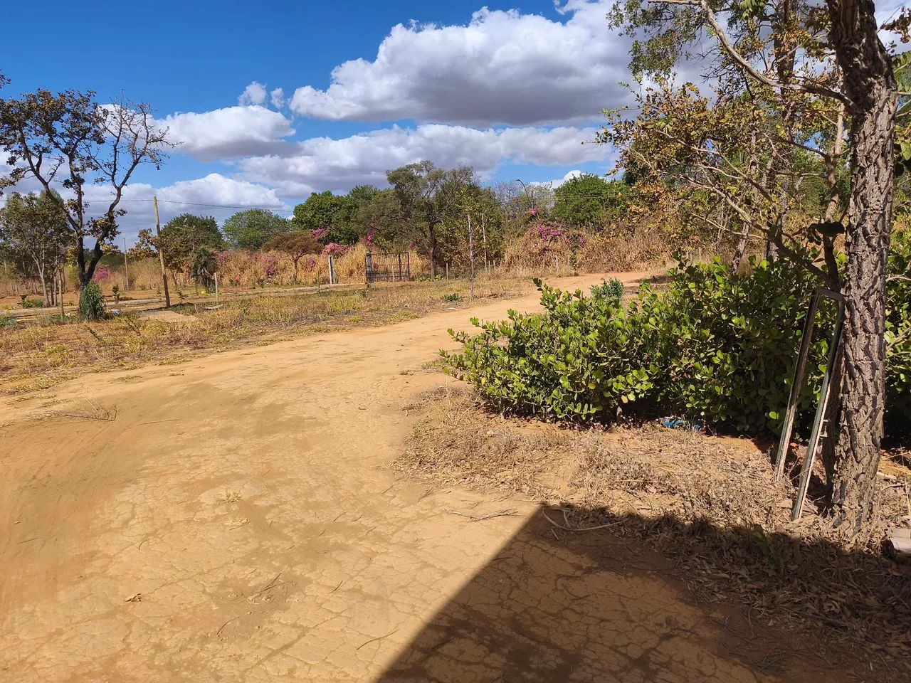 Lote de chácara Planaltina  - Foto 7