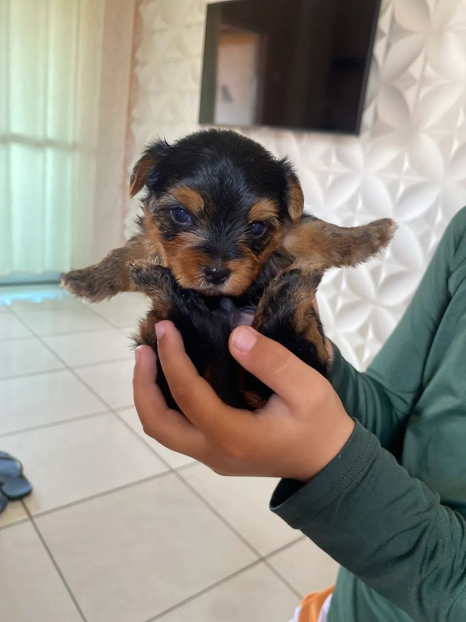Vendo - Foto 4
