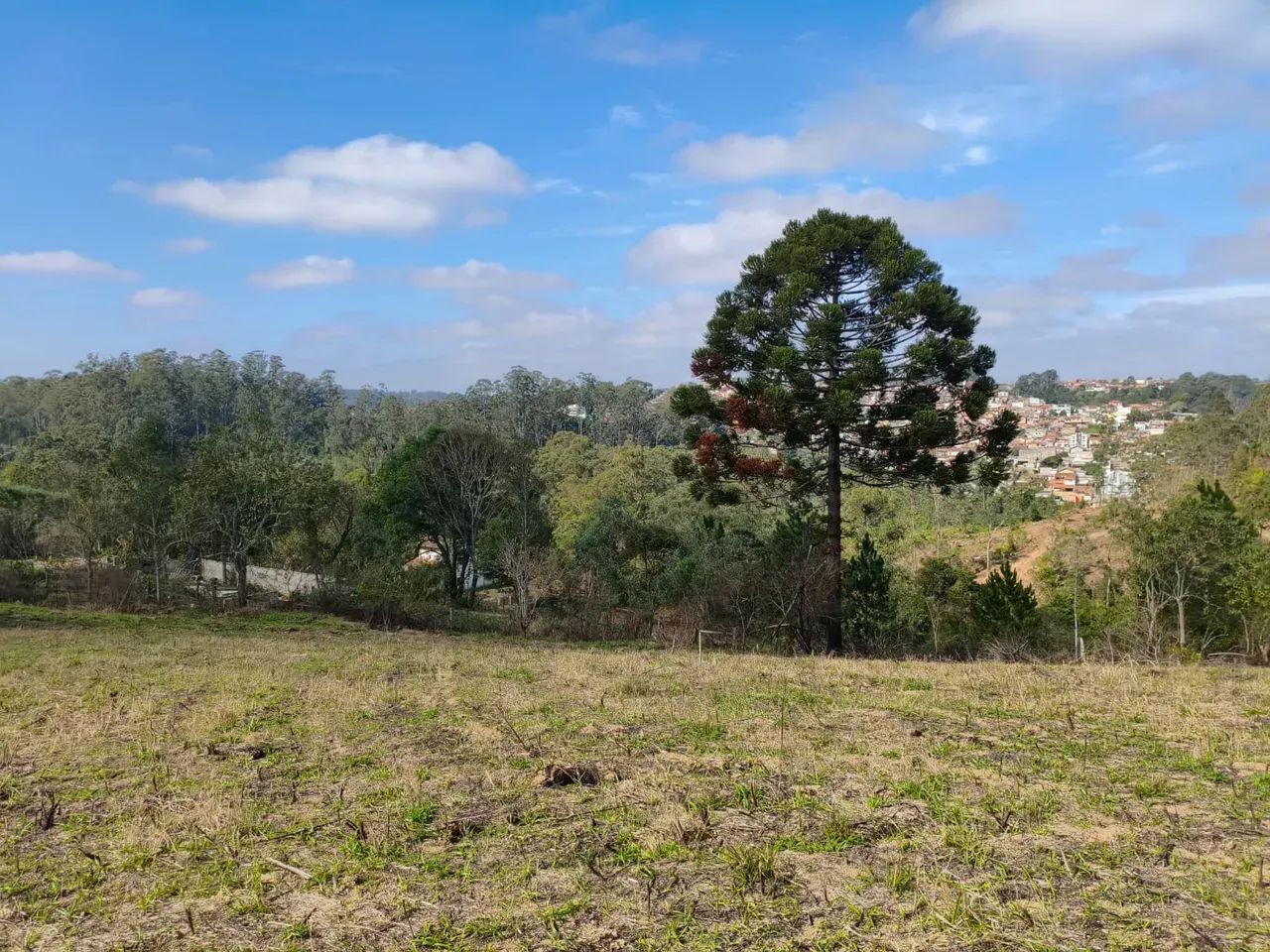 Terreno de 1.000m² com Natureza e Excelente Localização - Foto 3