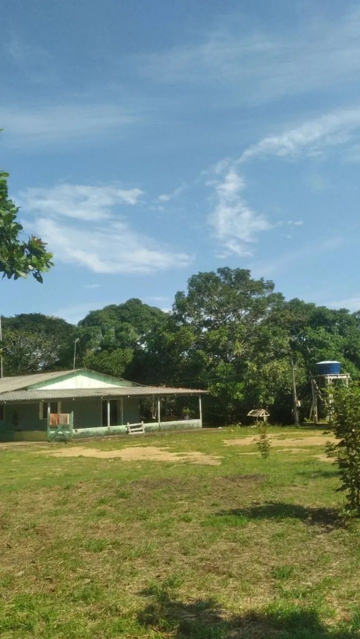 Vendo um ótimo sítio  - Foto 2