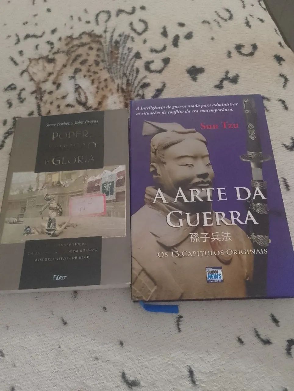 Livros 