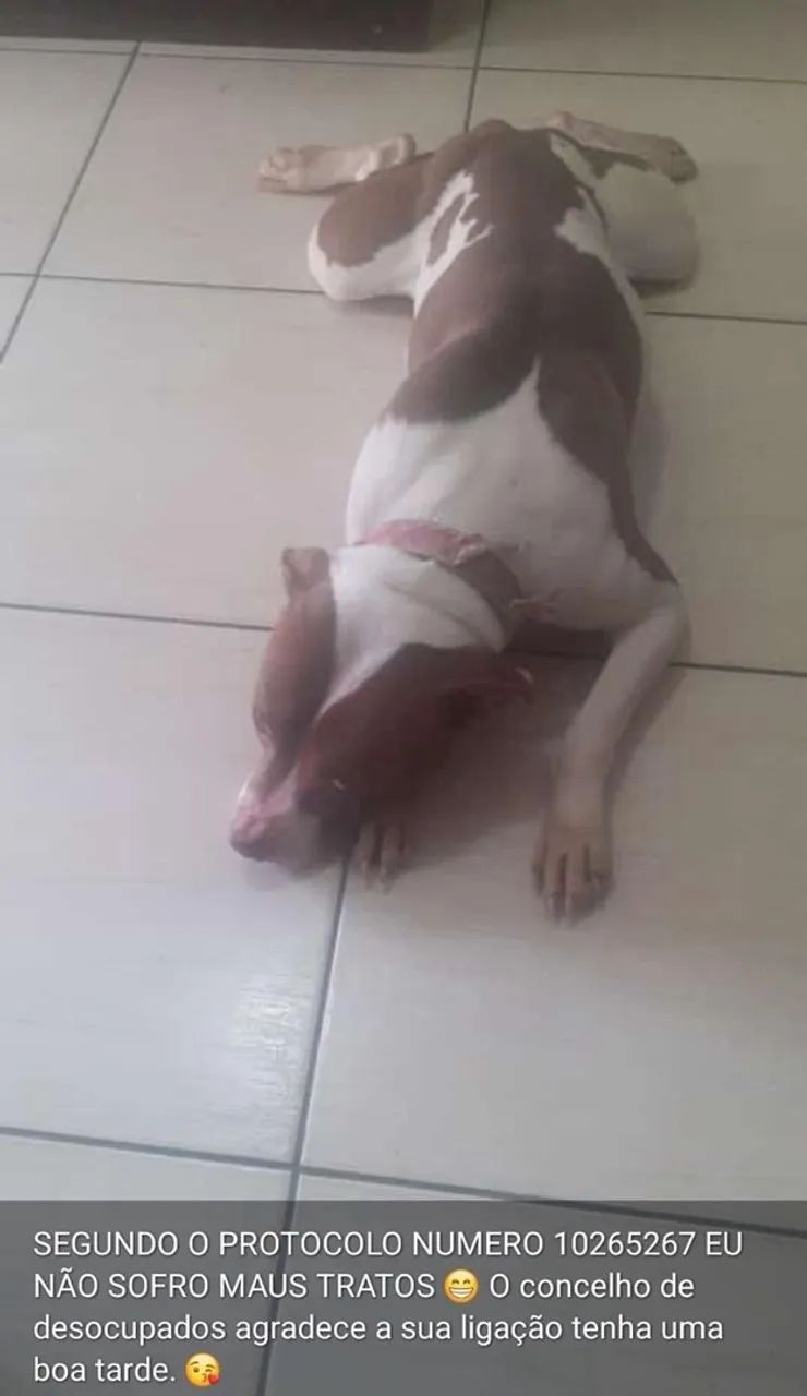 Doação  - Foto 3