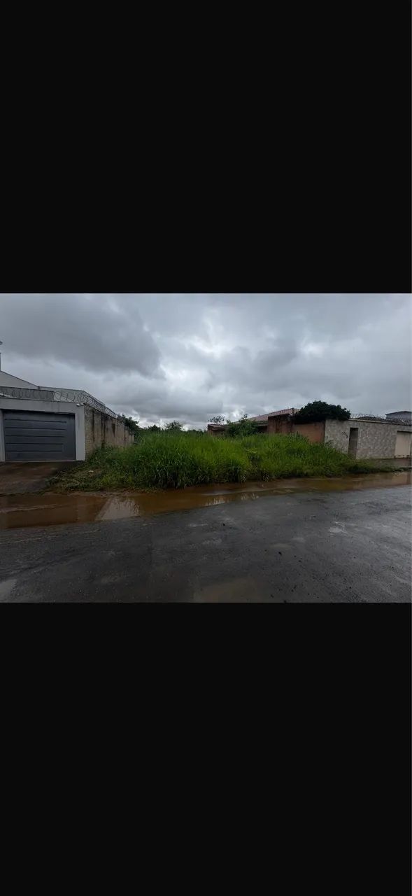 Serviço de limpeza de lotes  - Foto 2