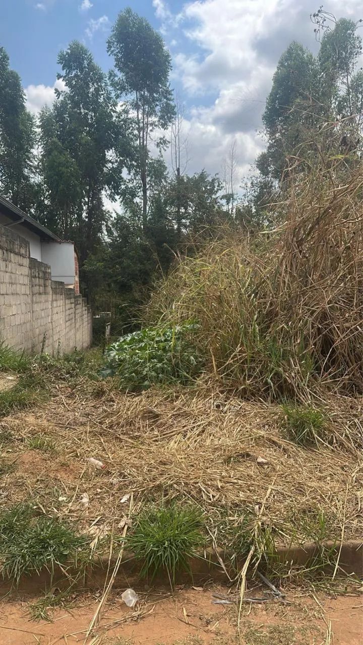 Lote cidade nova, Barão de cocais  - Foto 4