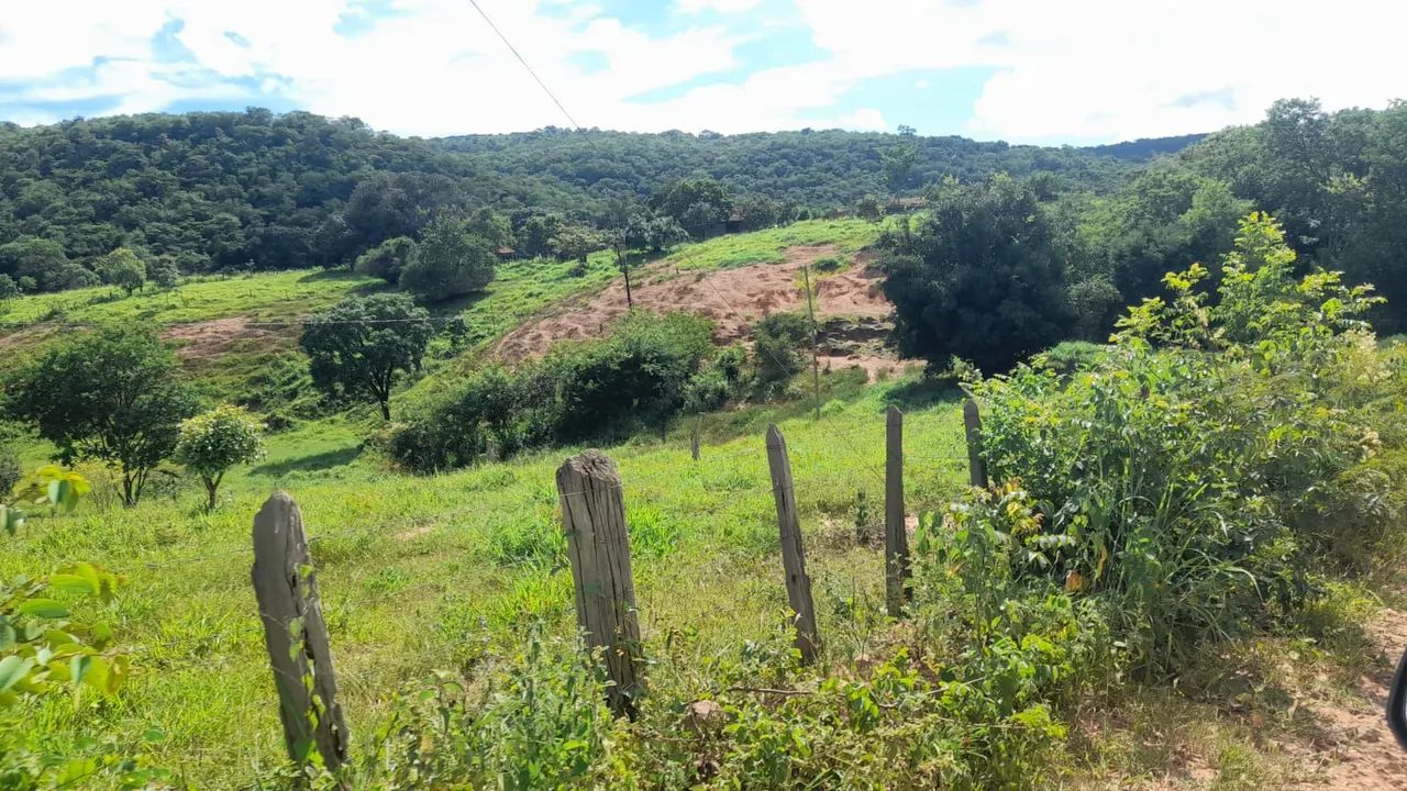 Fazendinha 14 Alqueires Praticamente dentro da cidade.. - Foto 3