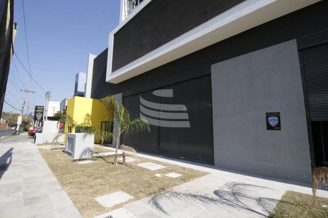 Raridade no bairro - Foto 5