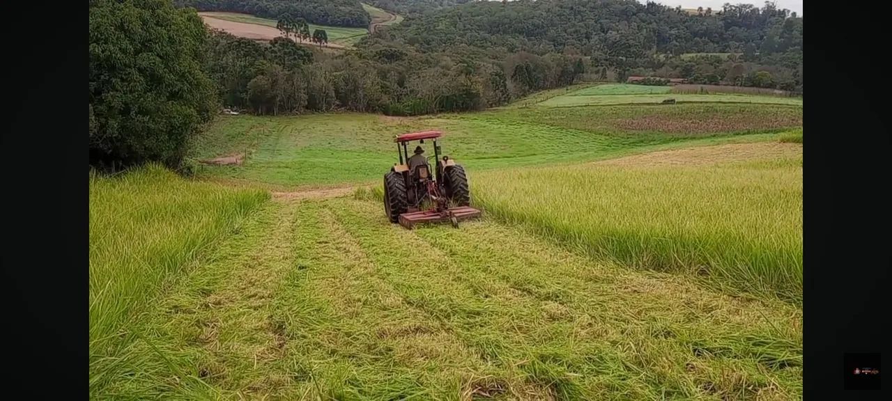 Roçagem mecanizada, limpeza de terrenos, corte de grama - Foto 2