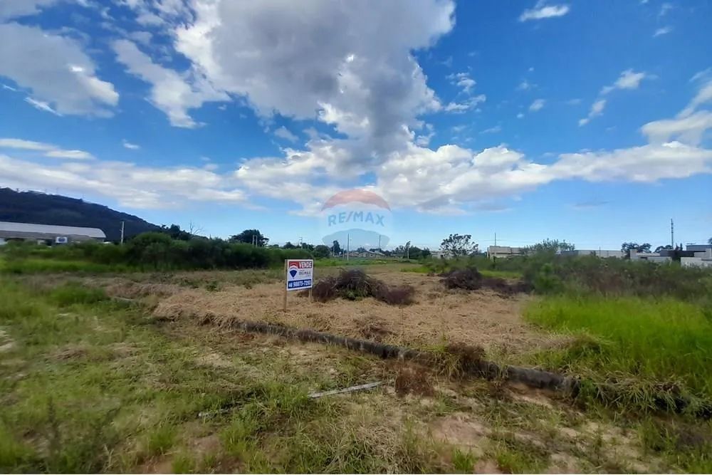 SUPER OPORTUNIDADE - Terreno - Santa Rosa do Sul- SC - Foto 5