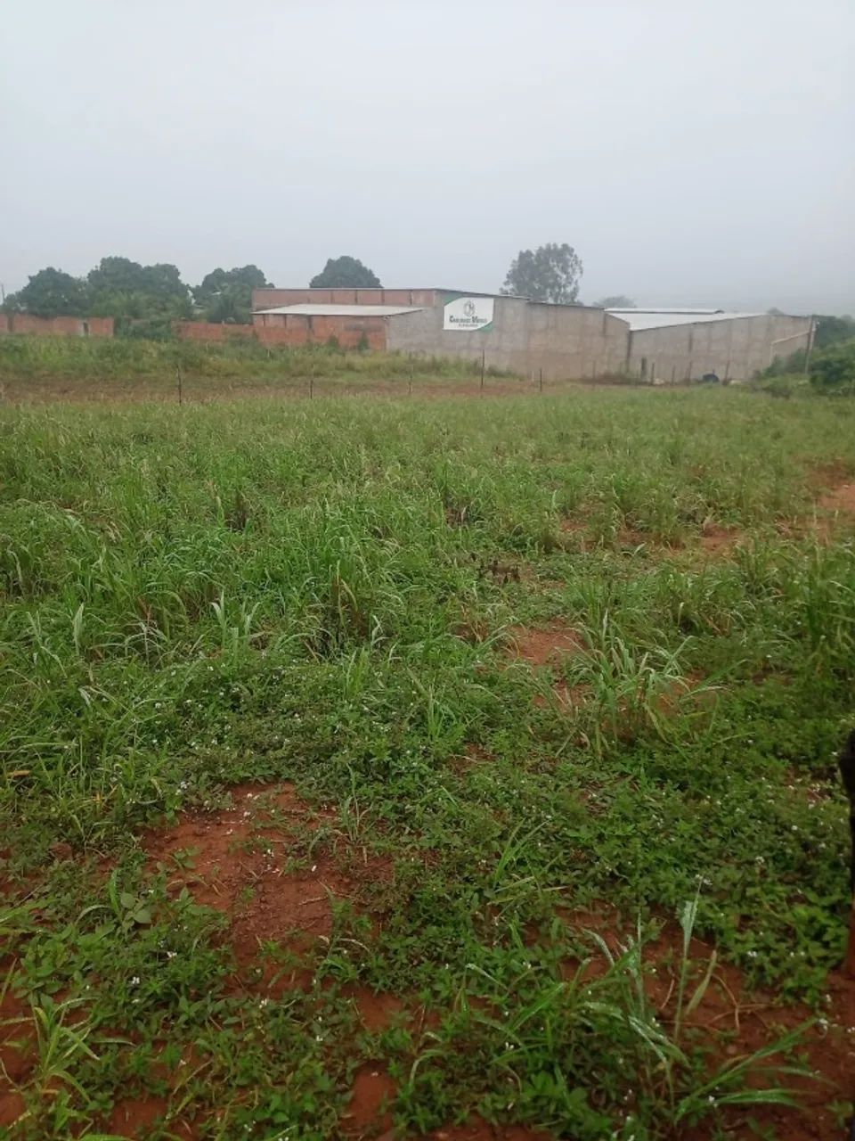 Terreno em Arapiraca 1000 m2