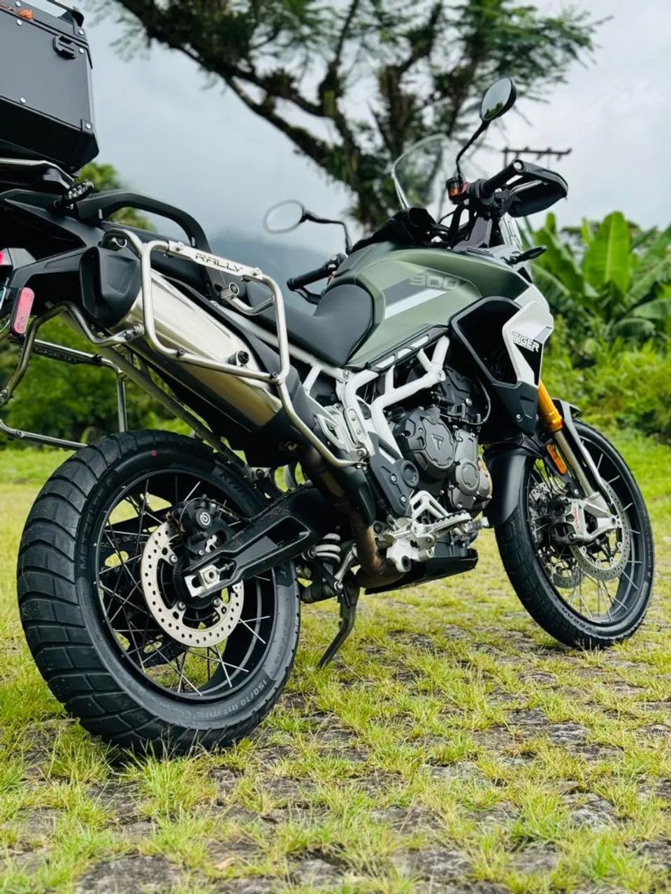 Tiger Nova - Foto 3