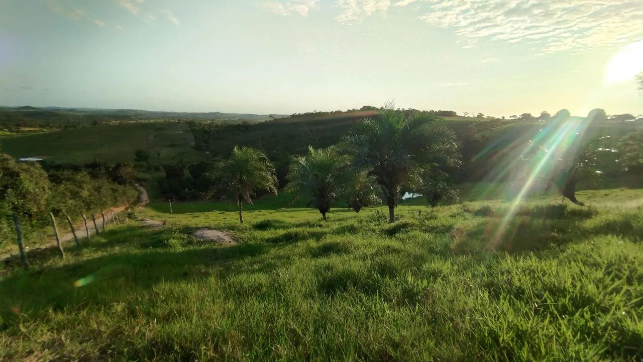 Sítio a venda em itaporanga D'ajuda  - Foto 5