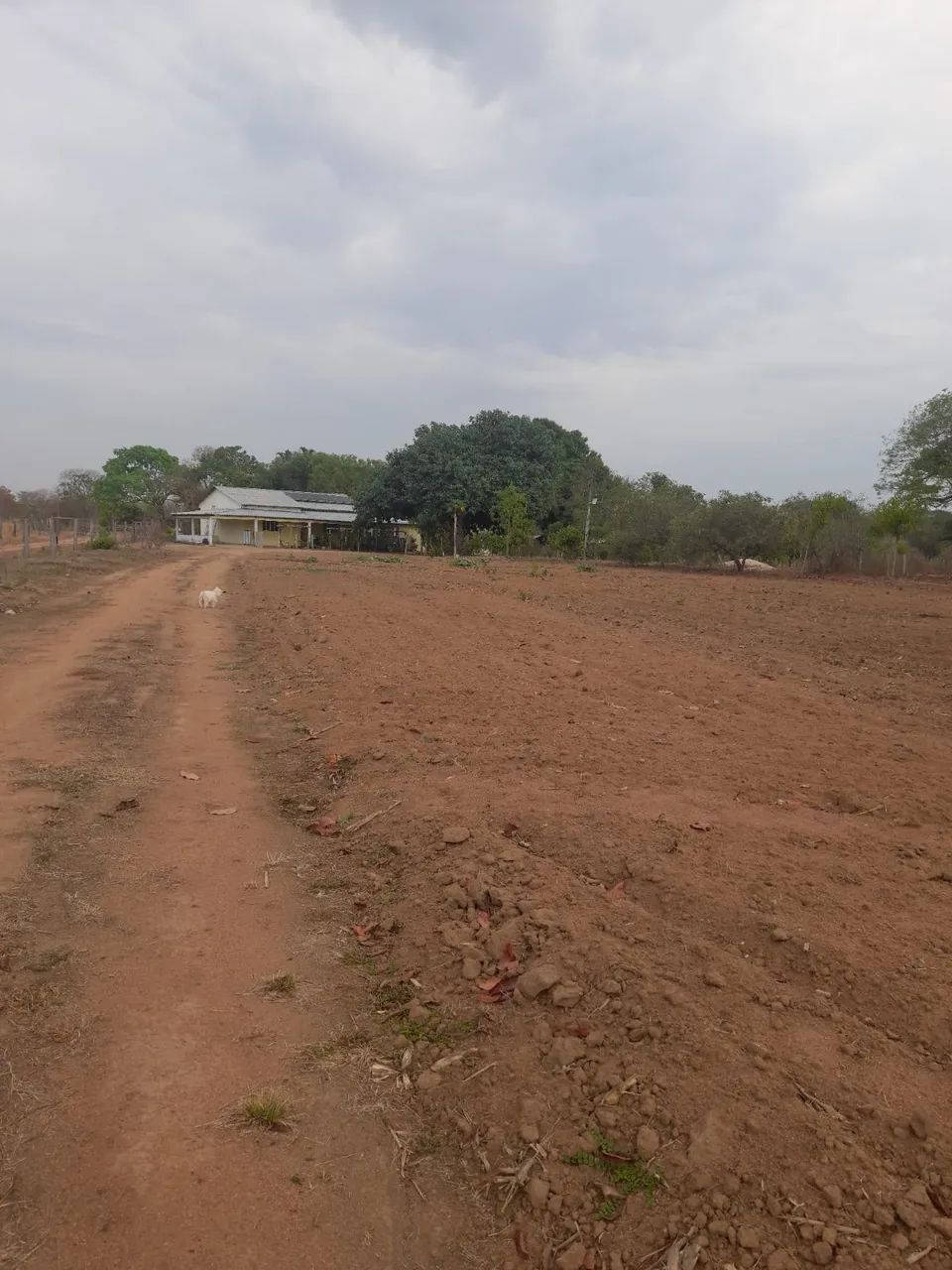 Chácara refugio da águia - Foto 2