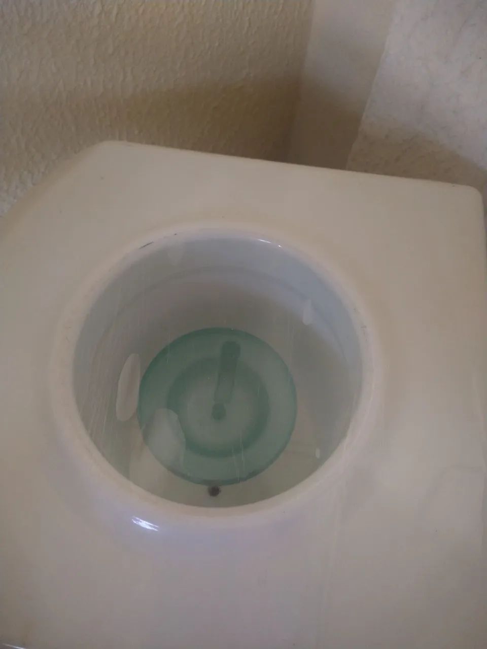 Bebedouro ibbl - Foto 4