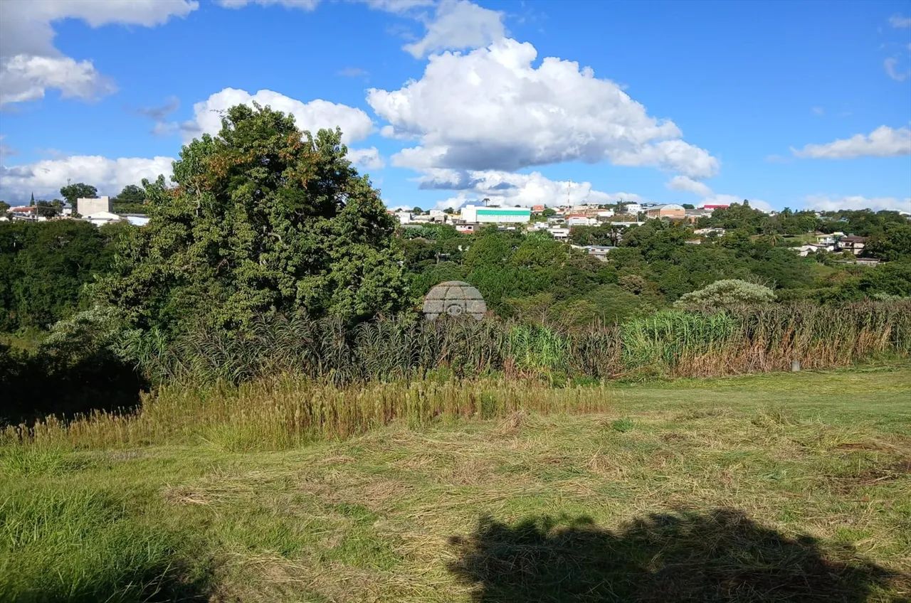 Vendas Terreno Pato Branco PR - Foto 3