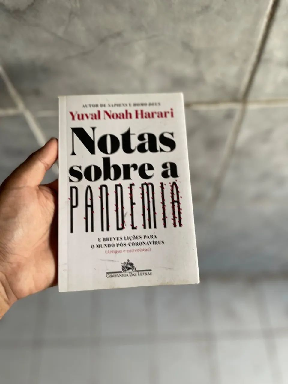 Notas sobre a pandemia