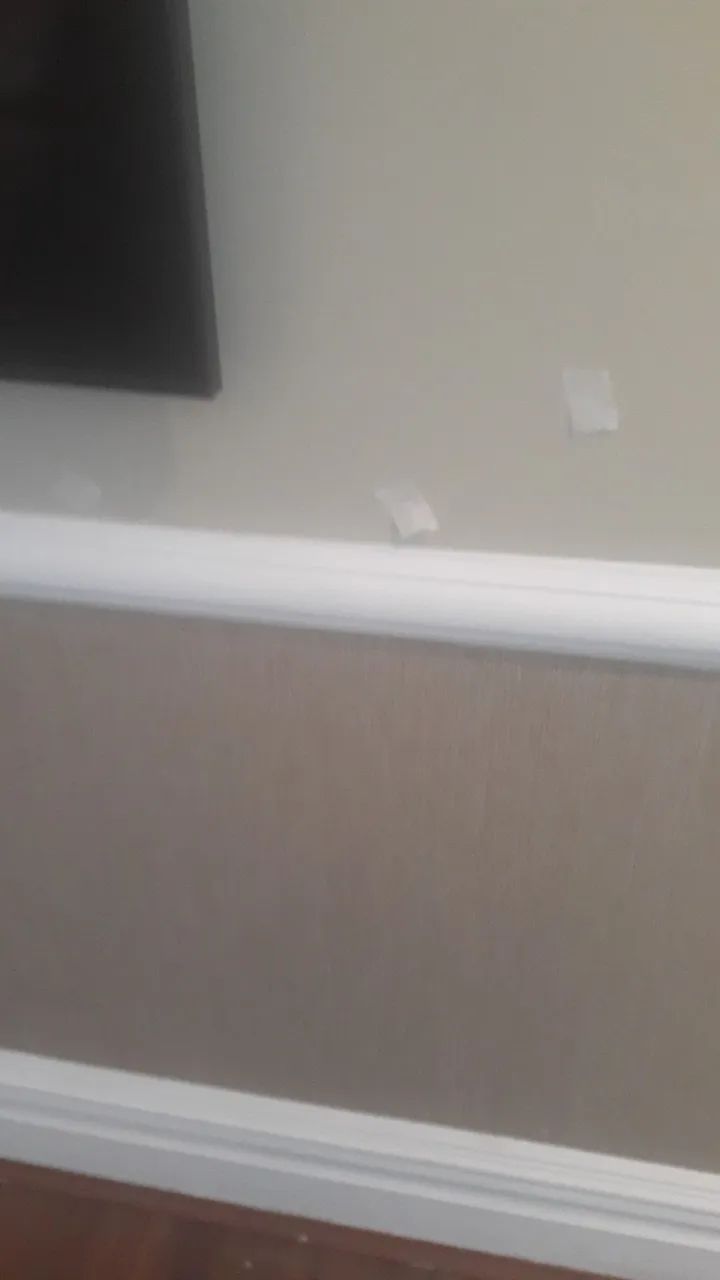 Reformas e Pinturas em geral