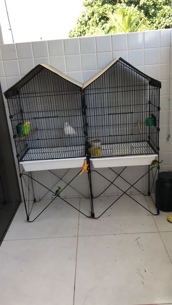 Viveiro grande  - Foto 2