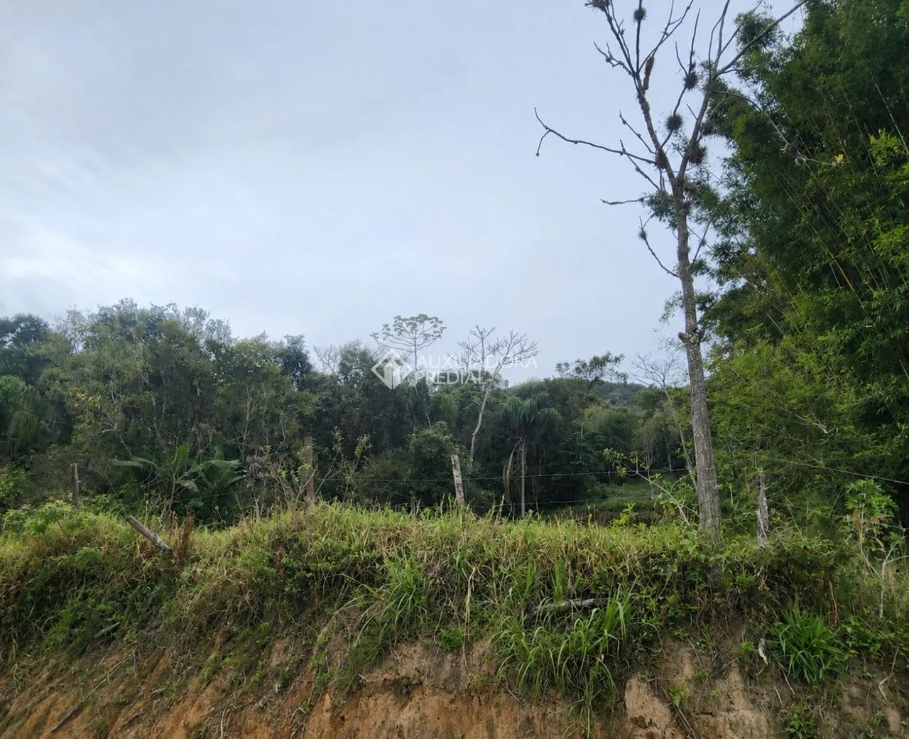 Área com 7 hectares à venda em Paulo Lopes/SC - Foto 3