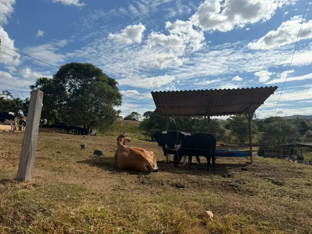 Chácara em Caldazinha Go  4.34 Alqueires - Foto 4