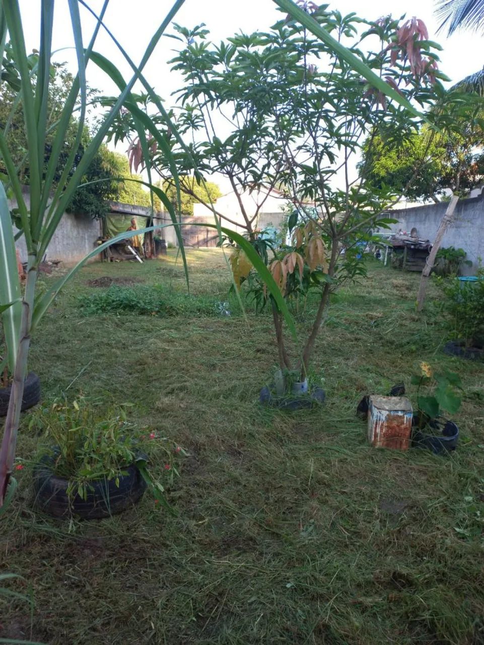 Vende-se 