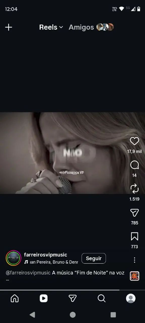 Galo índio 
