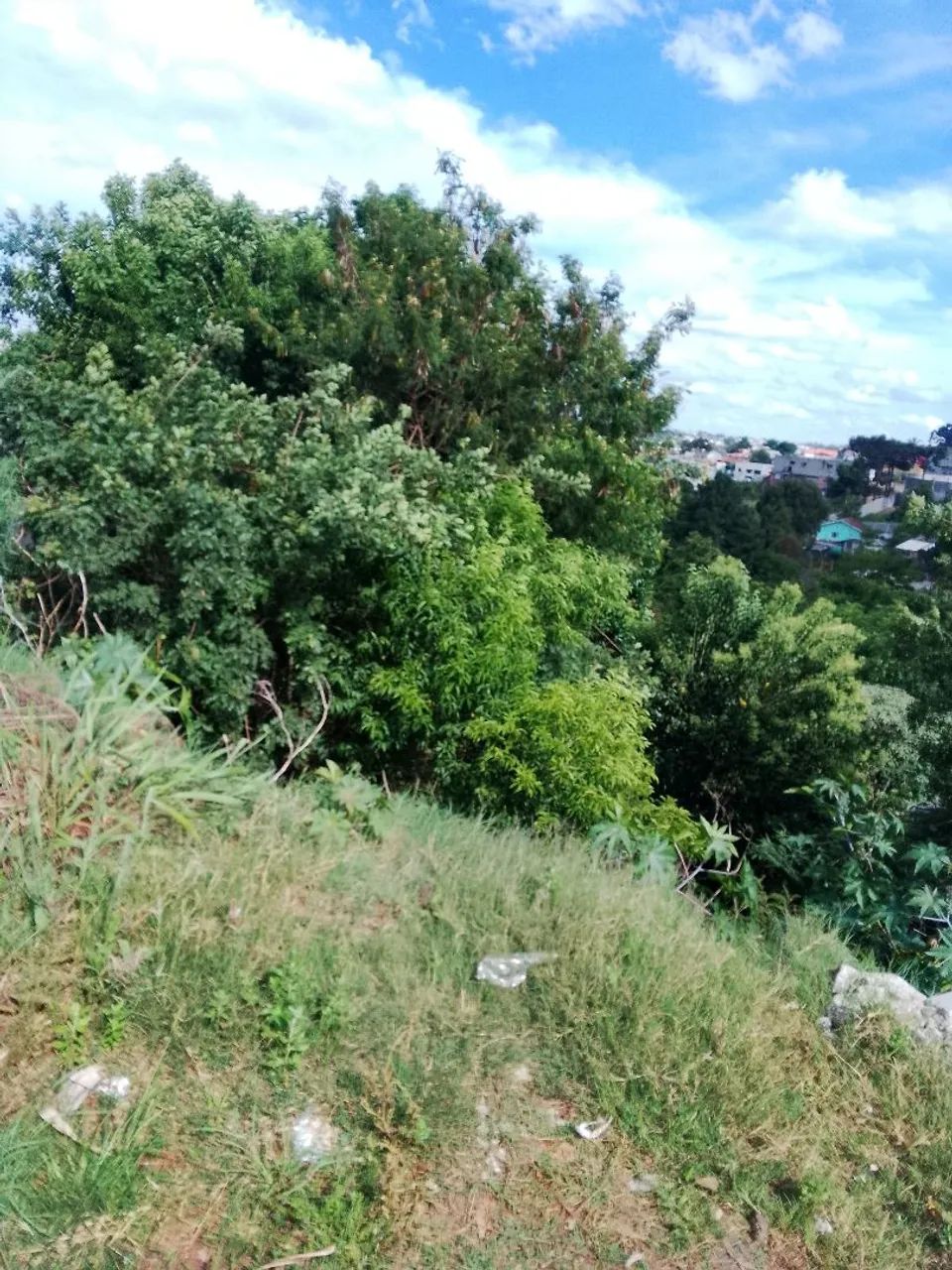 Terreno na beira da BR sentido Castrostro - Foto 2