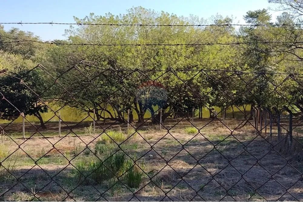 TERRENO PARA CHÁCARA À VENDA - MONTE ALTO - SÃO PAULO - Foto 5