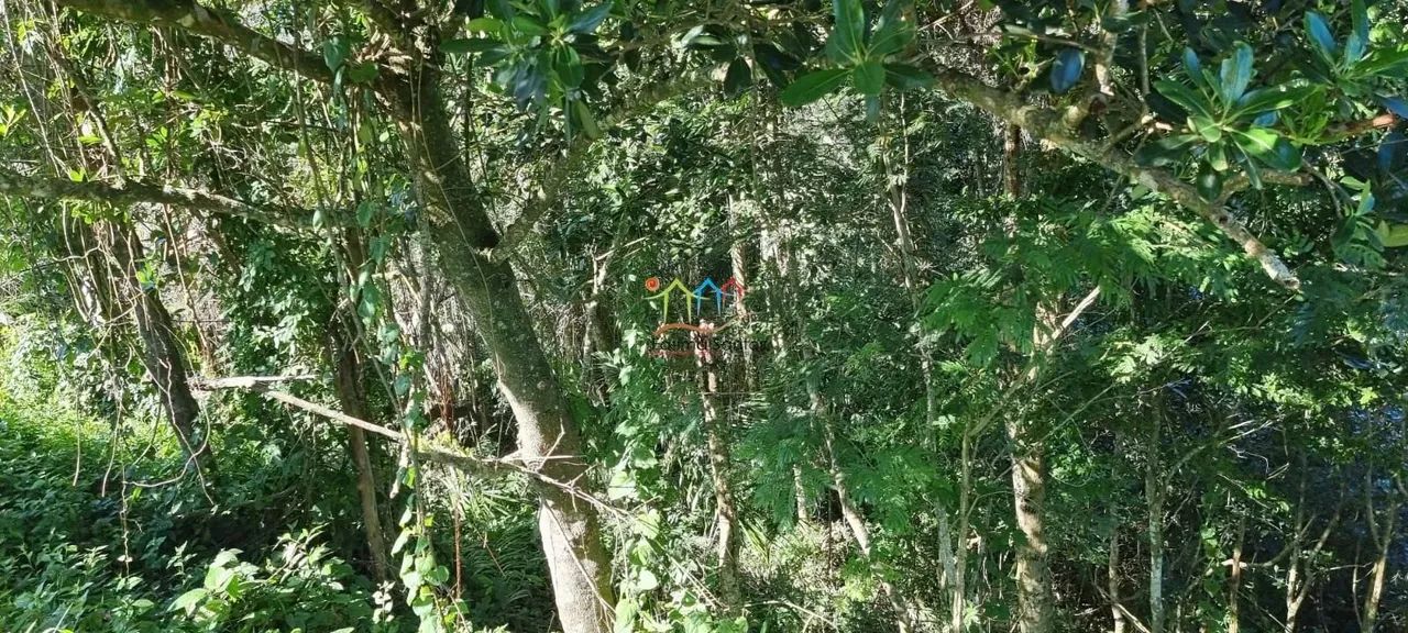 Terreno a venda em Ilhabela - Foto 3