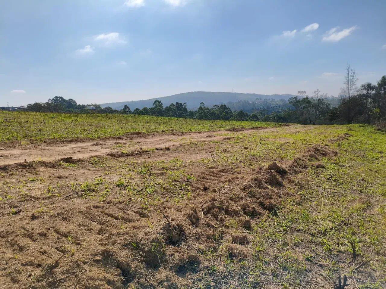 Terreno de 1.000m² com Natureza e Excelente Localização - Foto 2