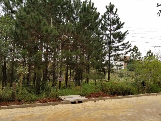 Terreno à venda em Centro, Nova santa rita cod:BD3718 - Foto 2